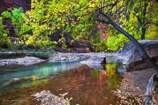 Zion Canyon, Fall-4521 Zion Canyon, Fall-4521